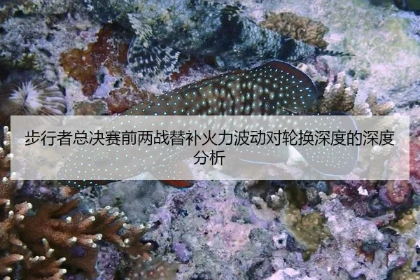 bu-xing-zhe-zong-jue-sai-qian-liang-zhan-ti-bu-huo-li-bo-dong-dui-lun-huan-shen-du-de-shen-du-fen-xi-2-923.jpg